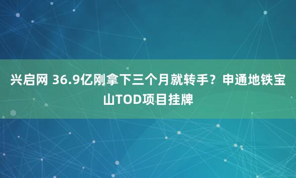 兴启网 36.9亿刚拿下三个月就转手？申通地铁宝山TOD项目挂牌